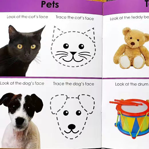 Wipe And Clean Workbooks (Set of 10 Books)