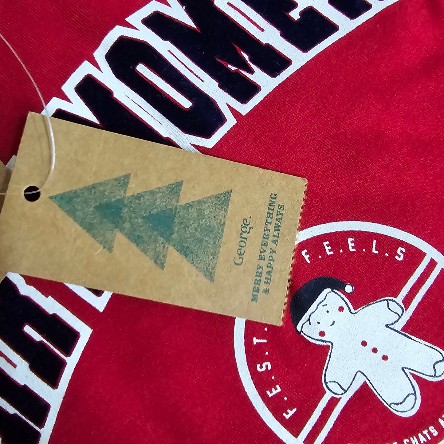 Christmas Pijama George Age 5-6y