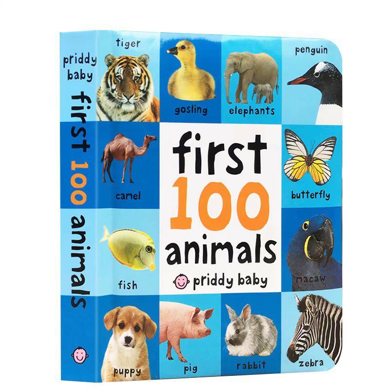 First 100 Book For Kids