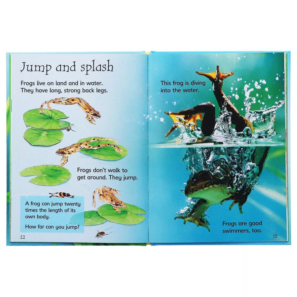 Usborne Beginners Nature Collection 10 Books Set