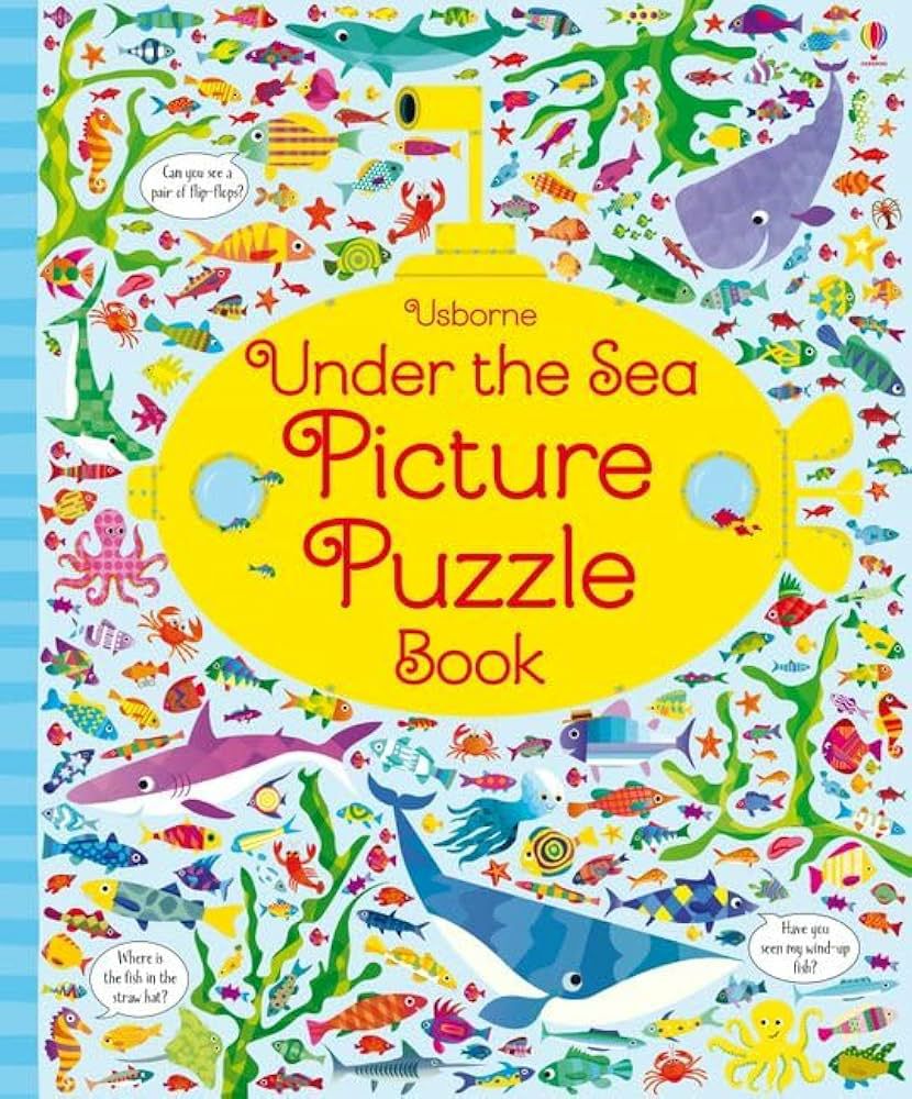 Usborne Picture puzzle Book For Kids