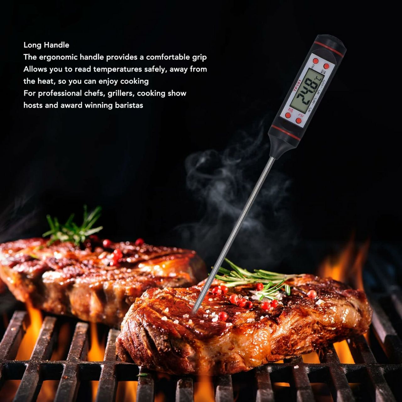 Digital Food Thermometer