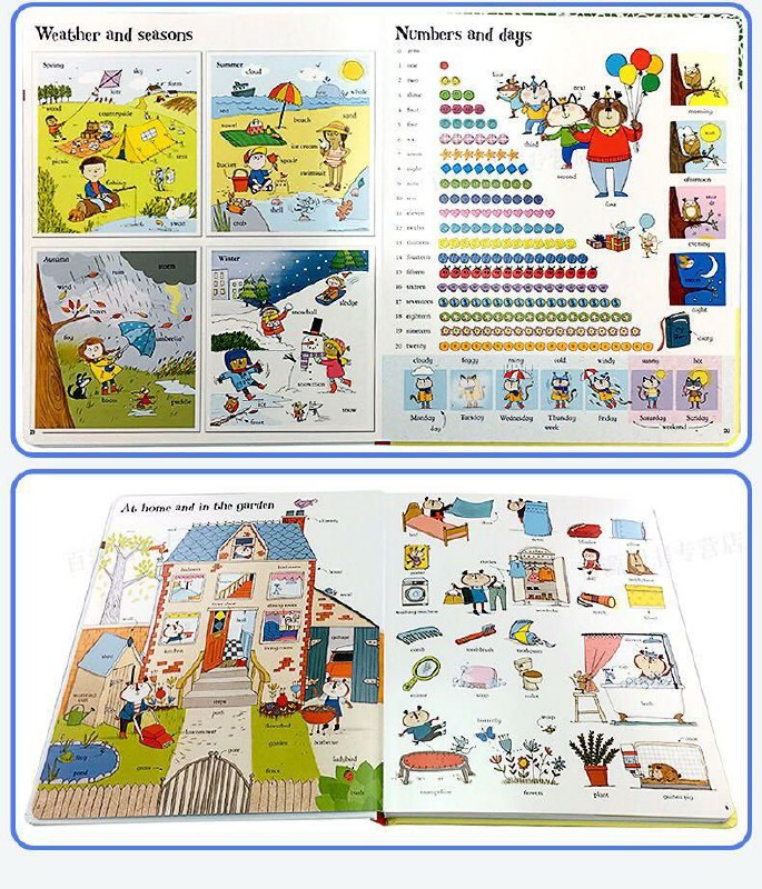 The Usborne Big Book English Words