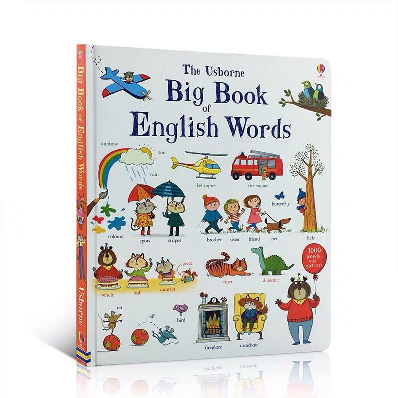 The Usborne Big Book English Words