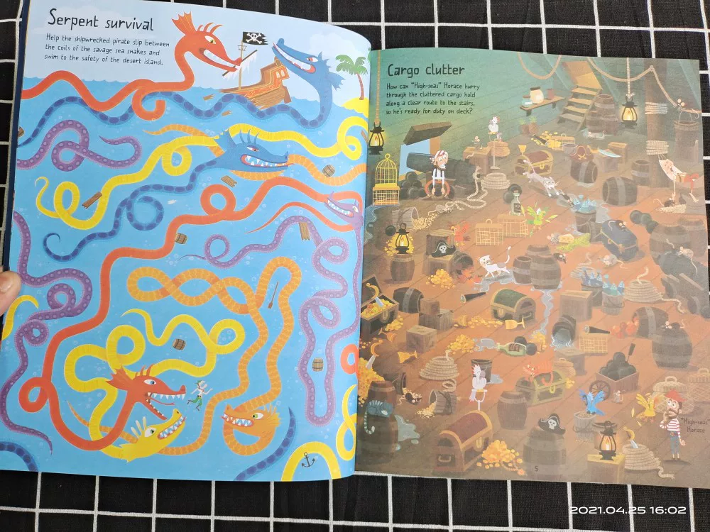 The Usborne Pirate Maze Book