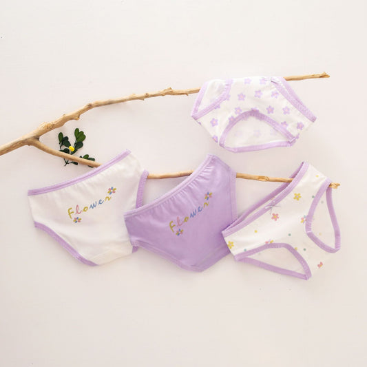 Set Of 4 Pcs Underwear Panties Flower Size 2-12y
