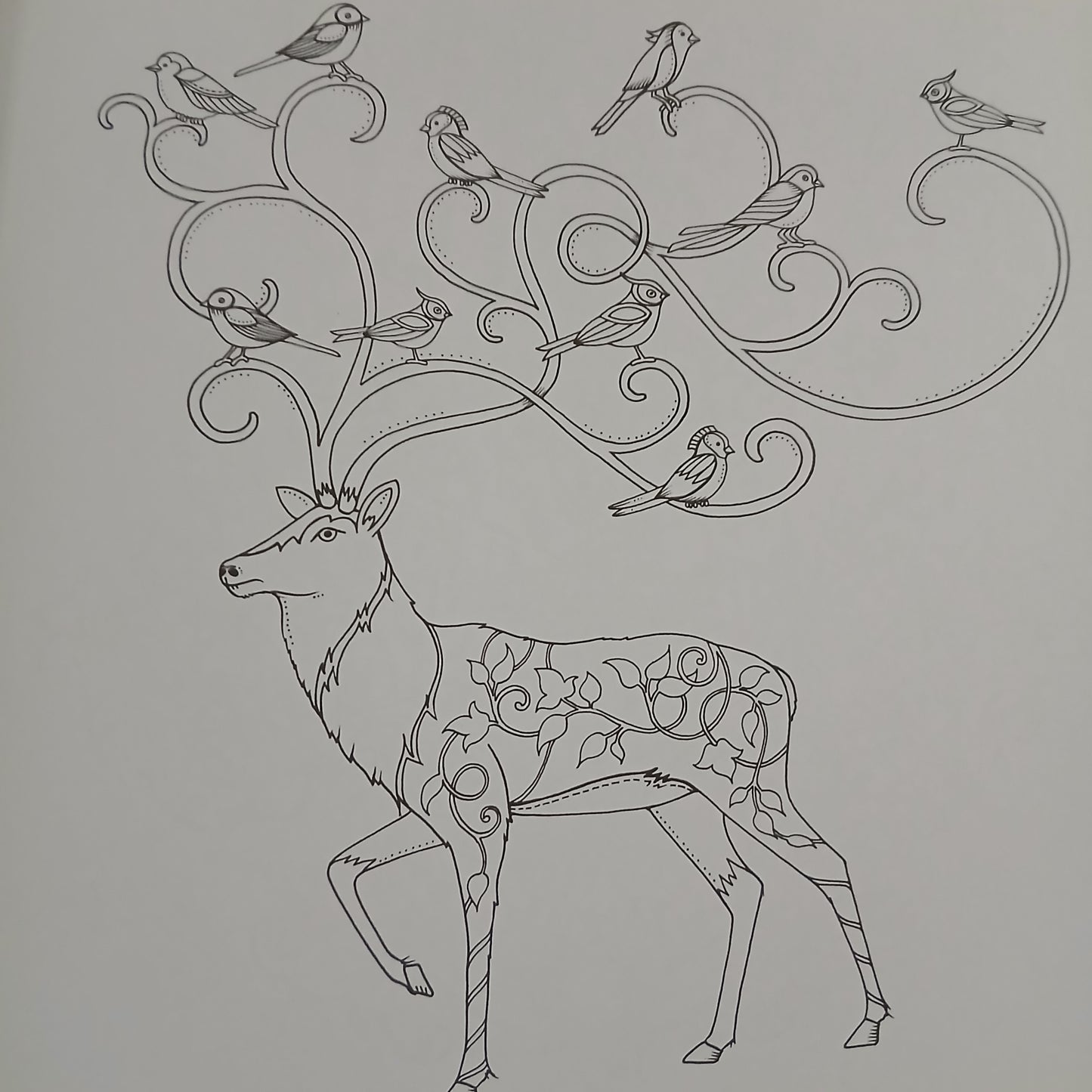 Enchanted Forest Colouring Book