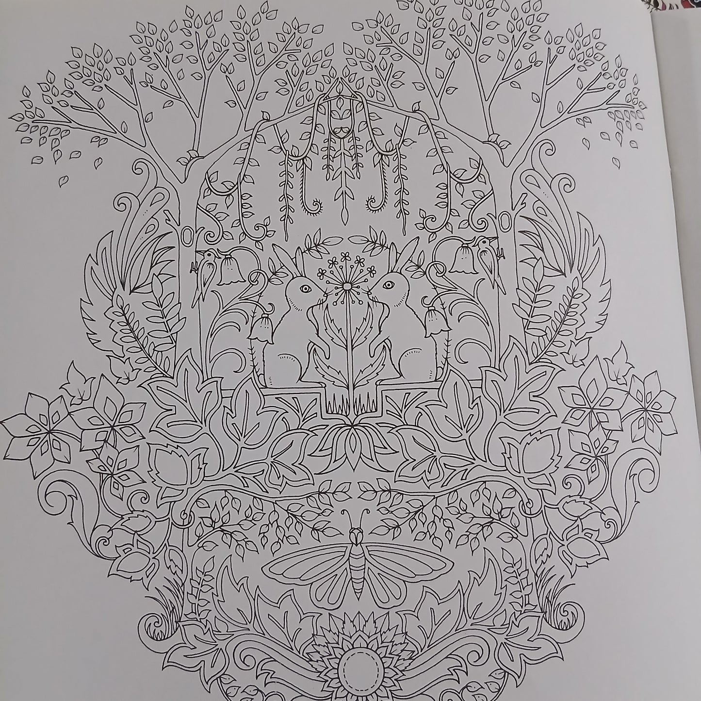 Enchanted Forest Colouring Book