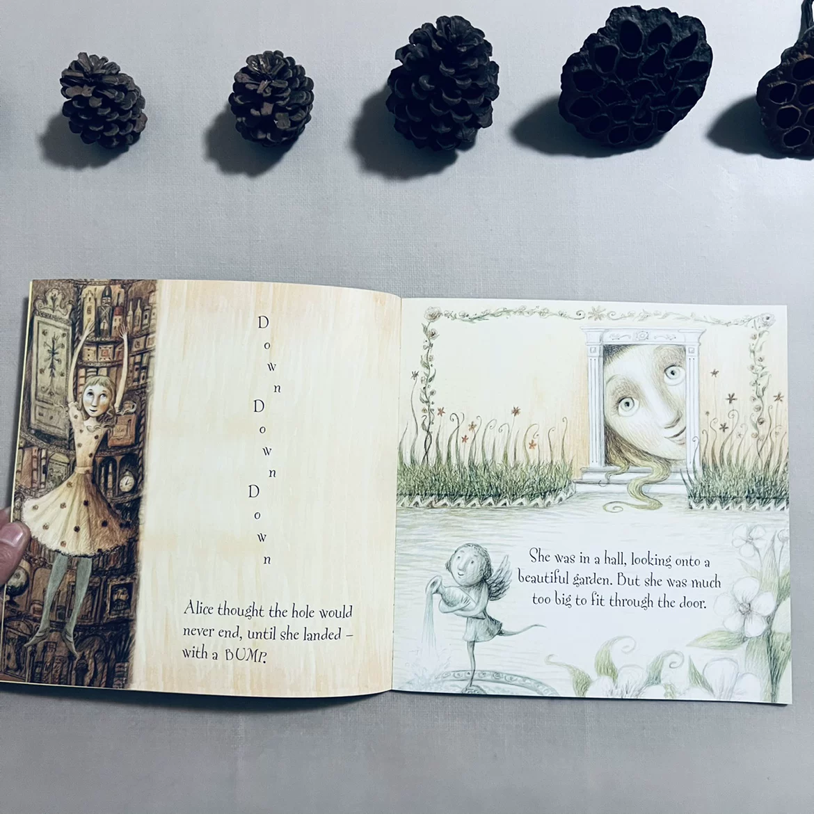 Usborne Alice In Wonderland Book For Kids
