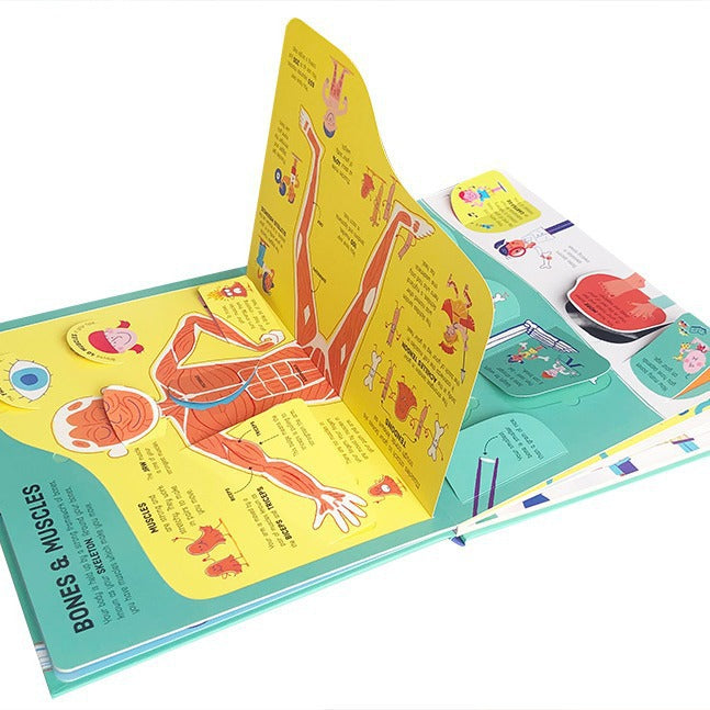 Lift-the-flap Questions and Answers Usborne Book