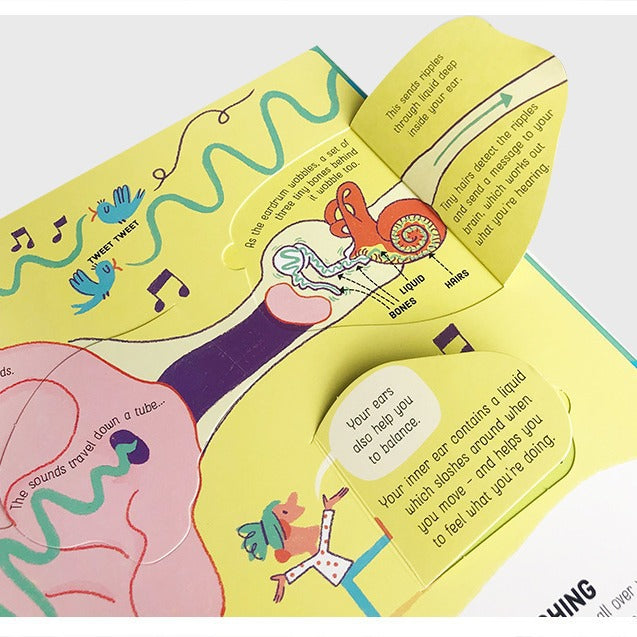 Lift-the-flap Questions and Answers Usborne Book