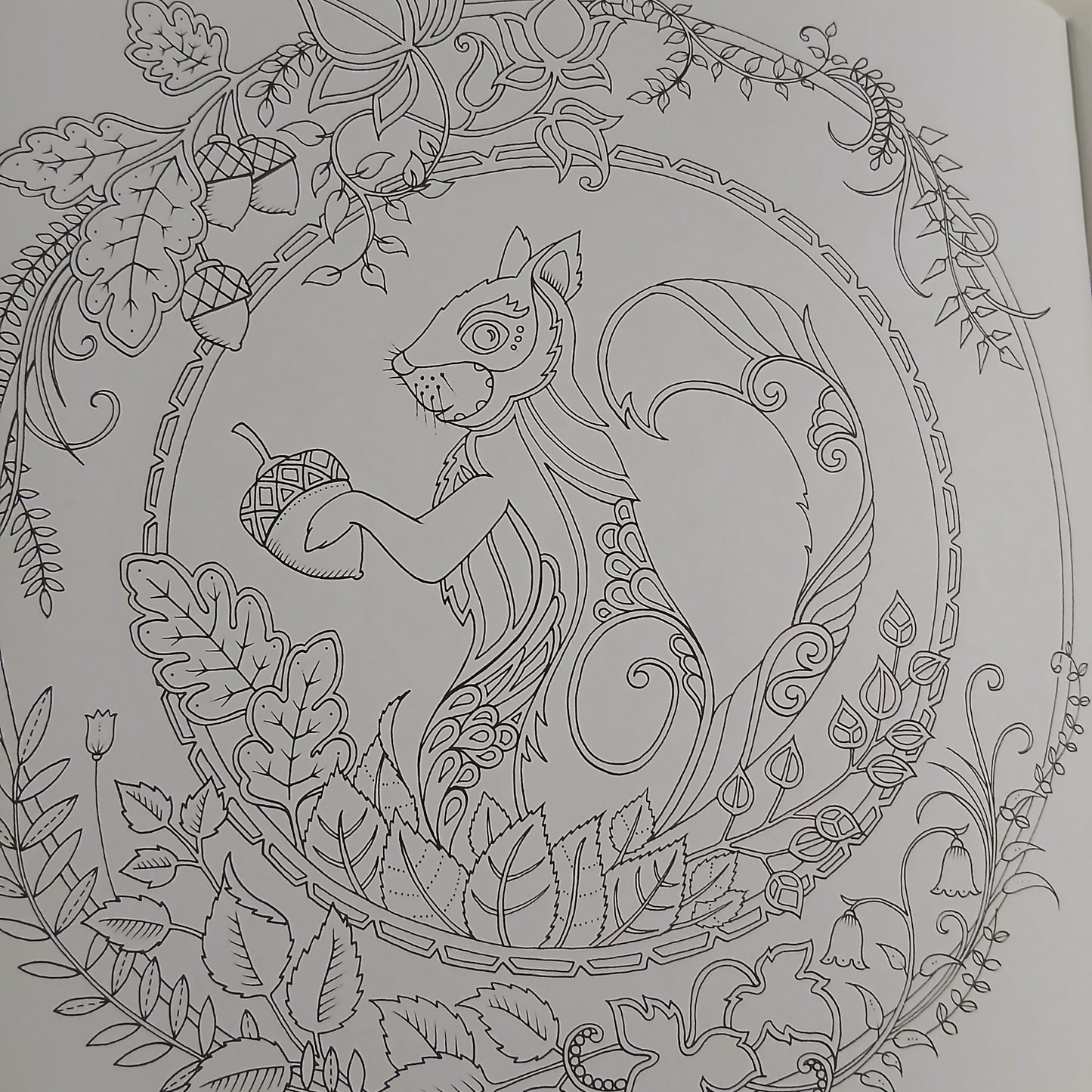 Enchanted Forest Colouring Book