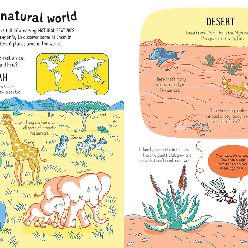 Usborne All You Need to Know Books