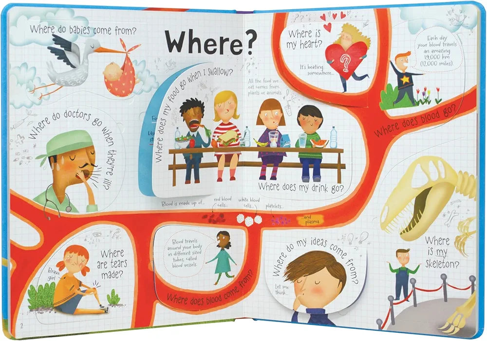 Lift-the-flap Questions and Answers Usborne Book