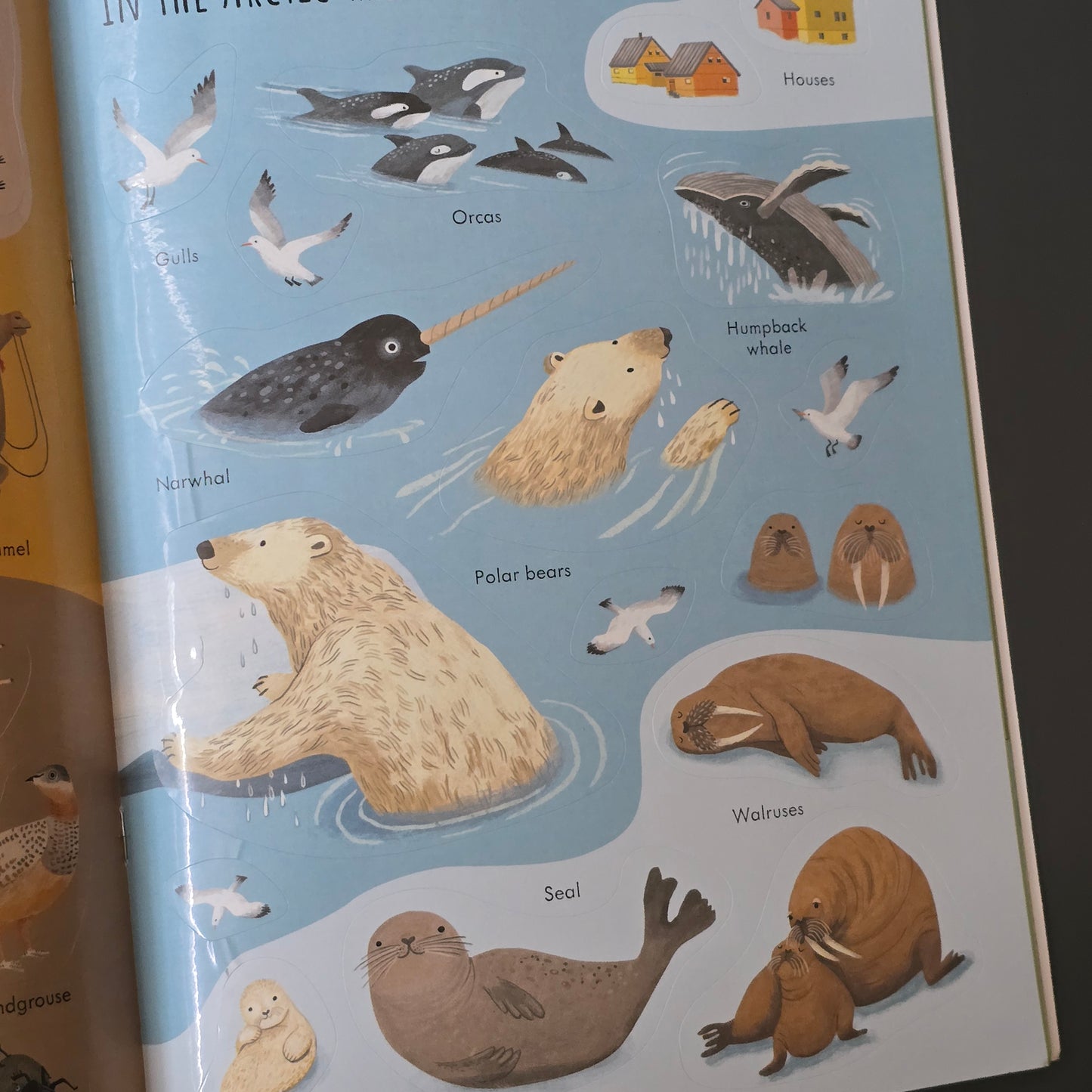 Usborne First Sticker Books 33 Variation