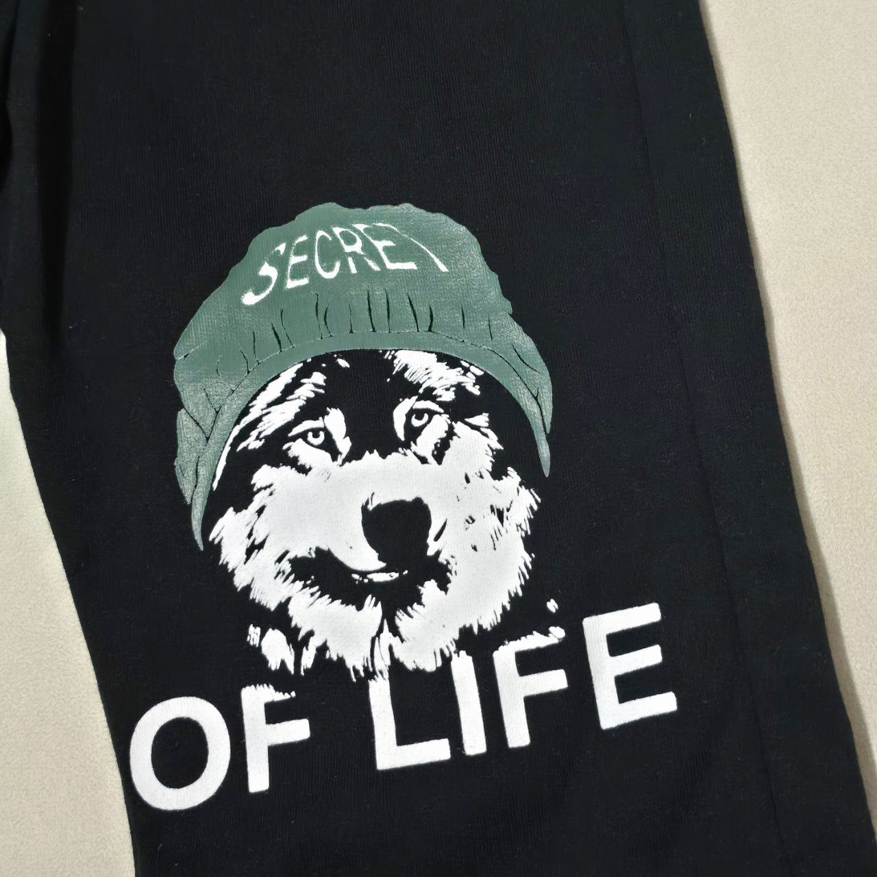 Boys Cotton Wolf Design – Soft Summer Outfit (6–7Y)