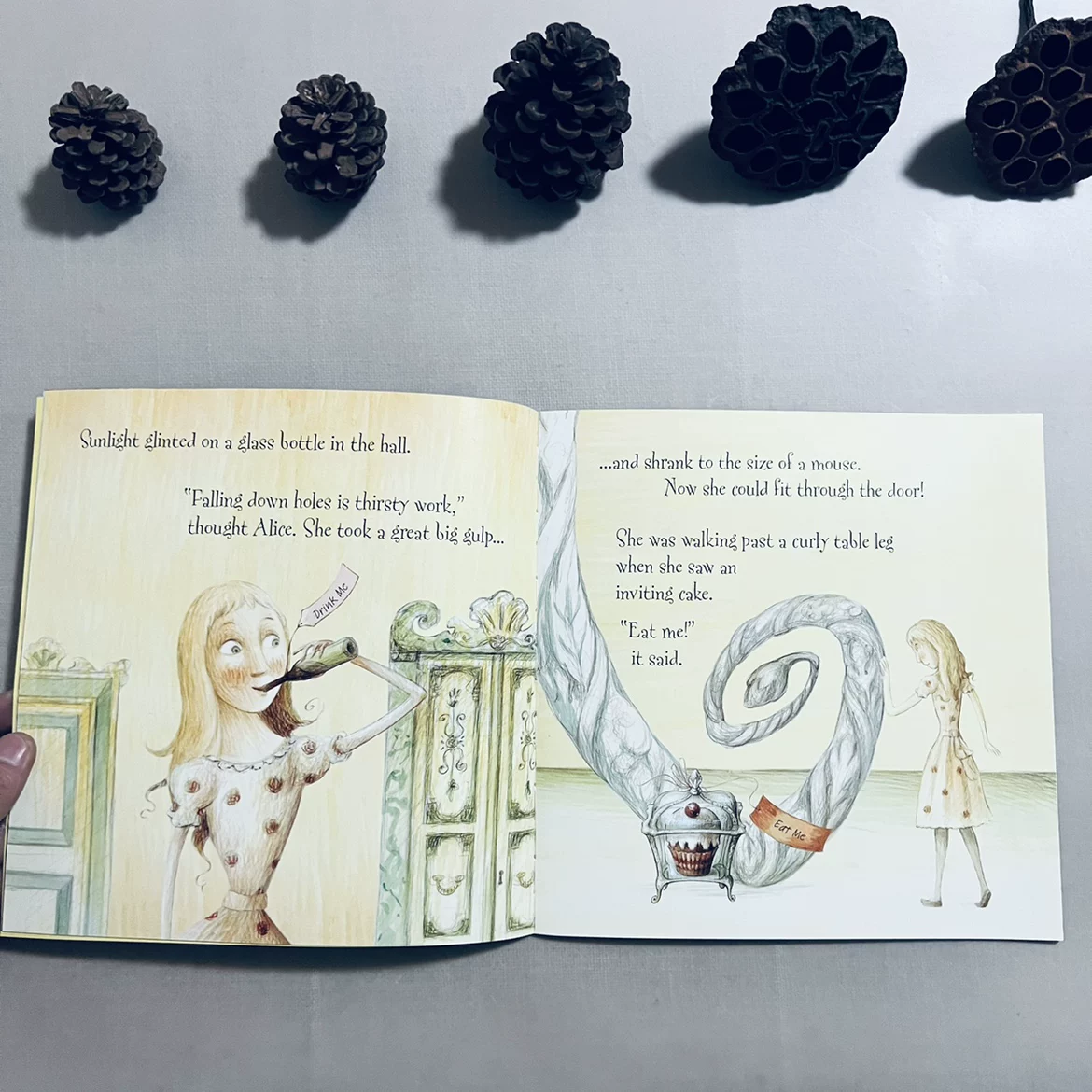 Usborne Alice In Wonderland Book For Kids