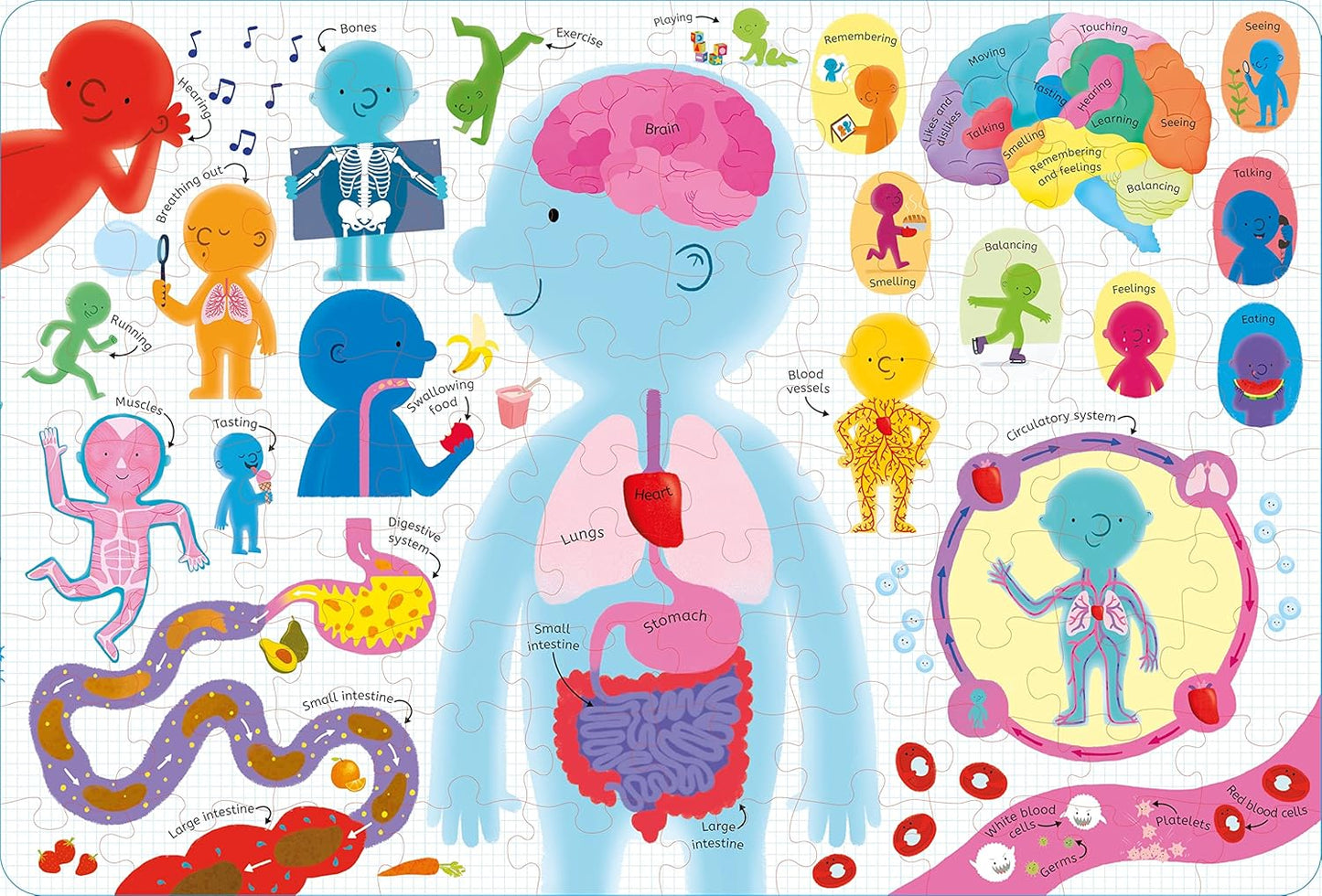 Usborne Book & Jigsaw Human Body 100 Pcs