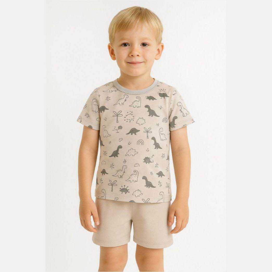 Boys Cotton Dinosaur – Soft Summer Outfit (4–8Y)