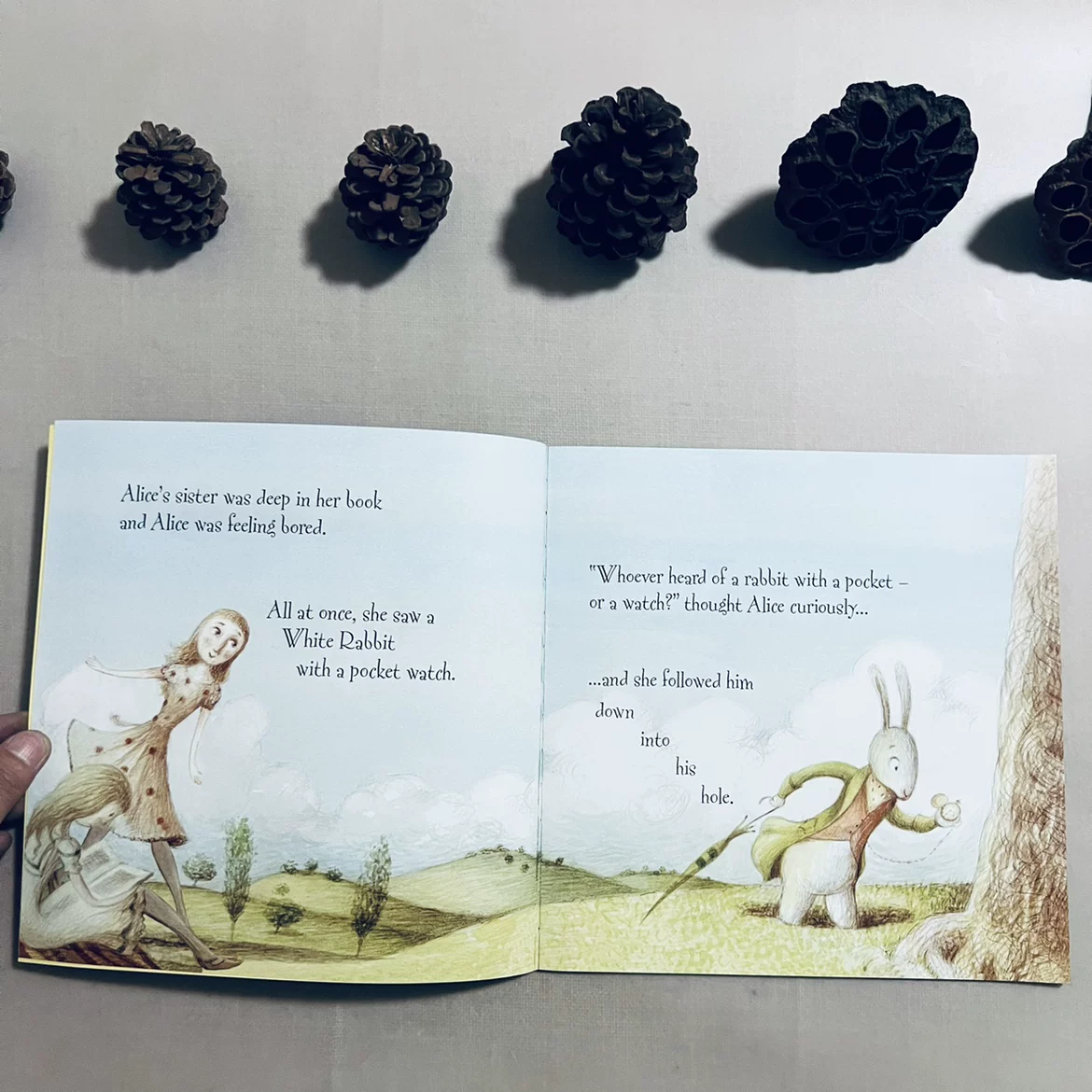 Usborne Alice In Wonderland Book For Kids