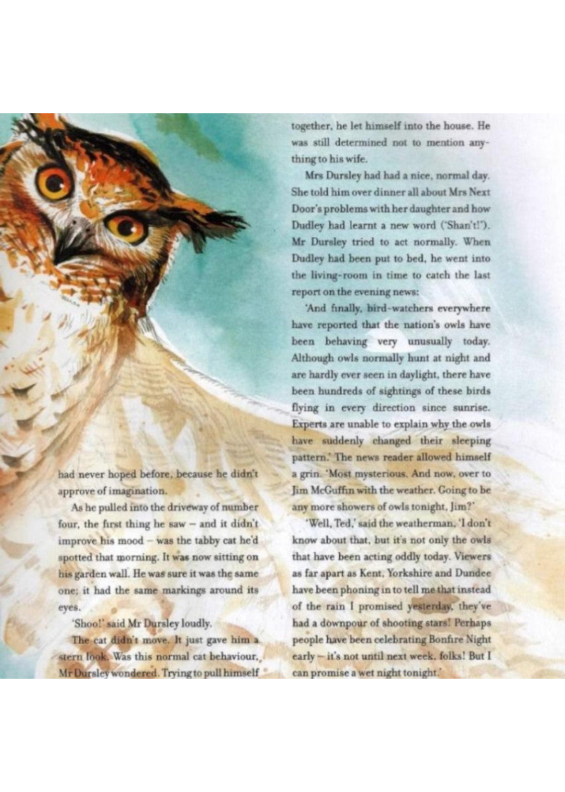 Harry Potter Illustrated Collection- 5 Books Set By J.K. Rowling | Hard Cover | 8+