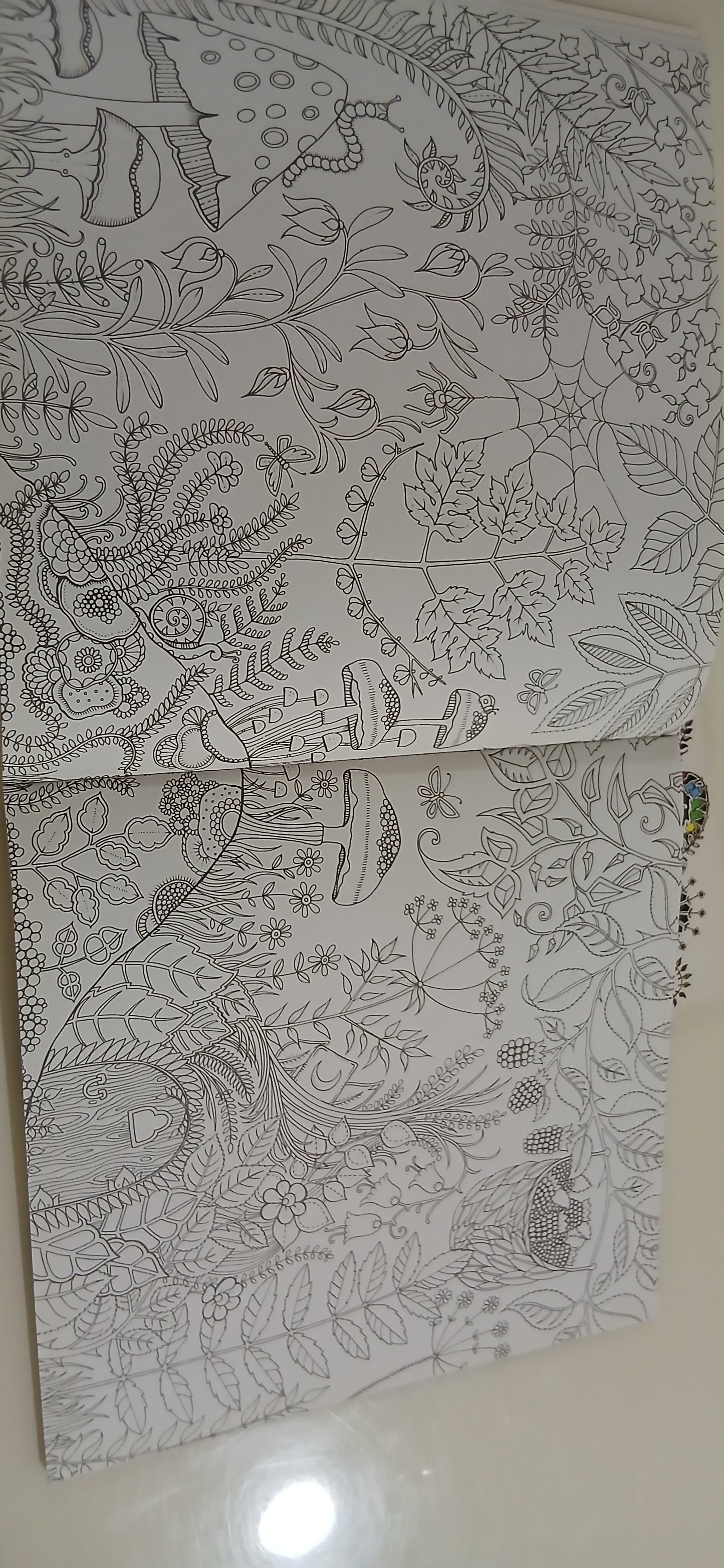 Enchanted Forest Colouring Book