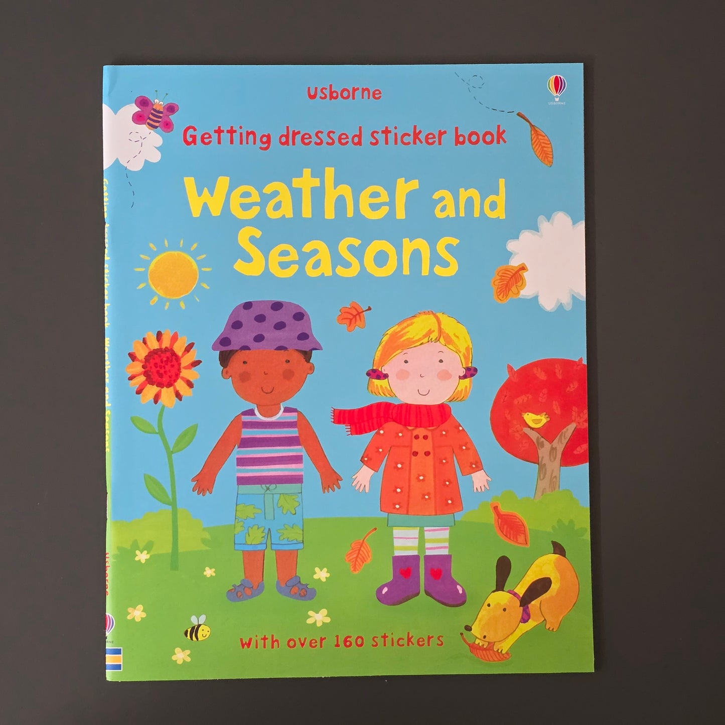 Usborne First Sticker Books 33 Variation