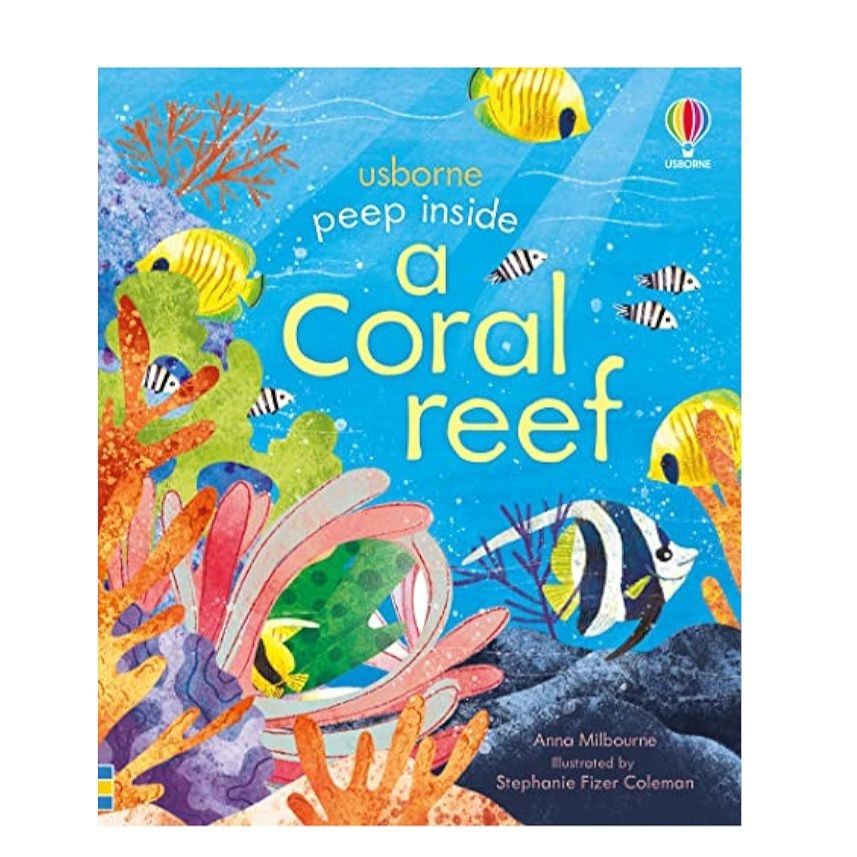 Usborne Peep Inside Books For Kids Hard Book