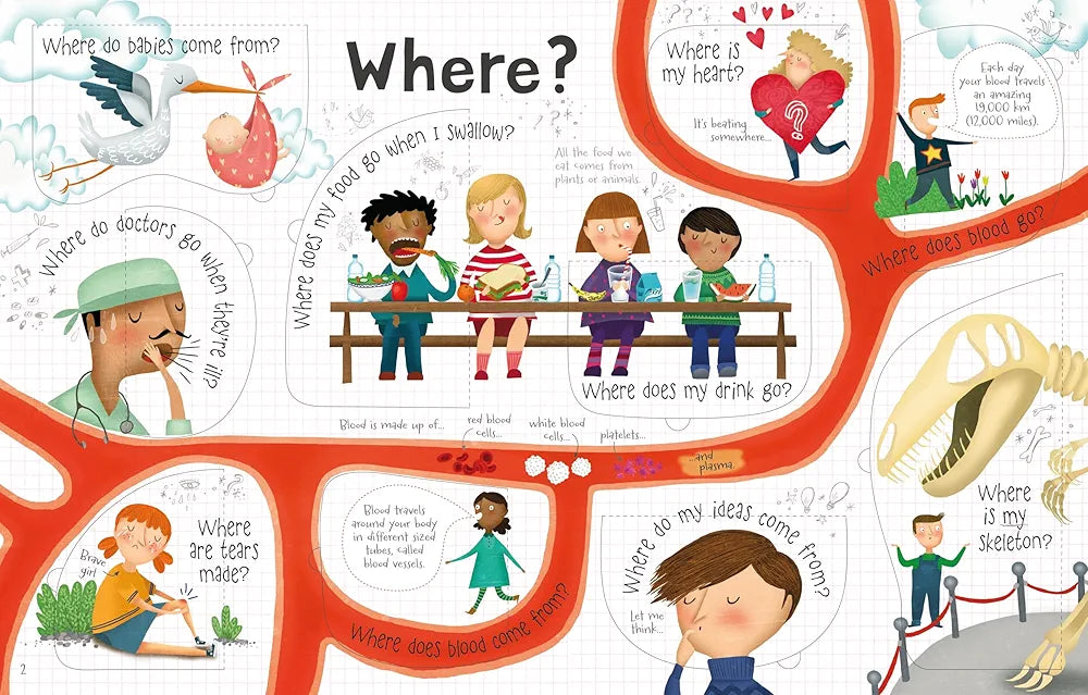 Lift-the-flap Questions and Answers Usborne Book