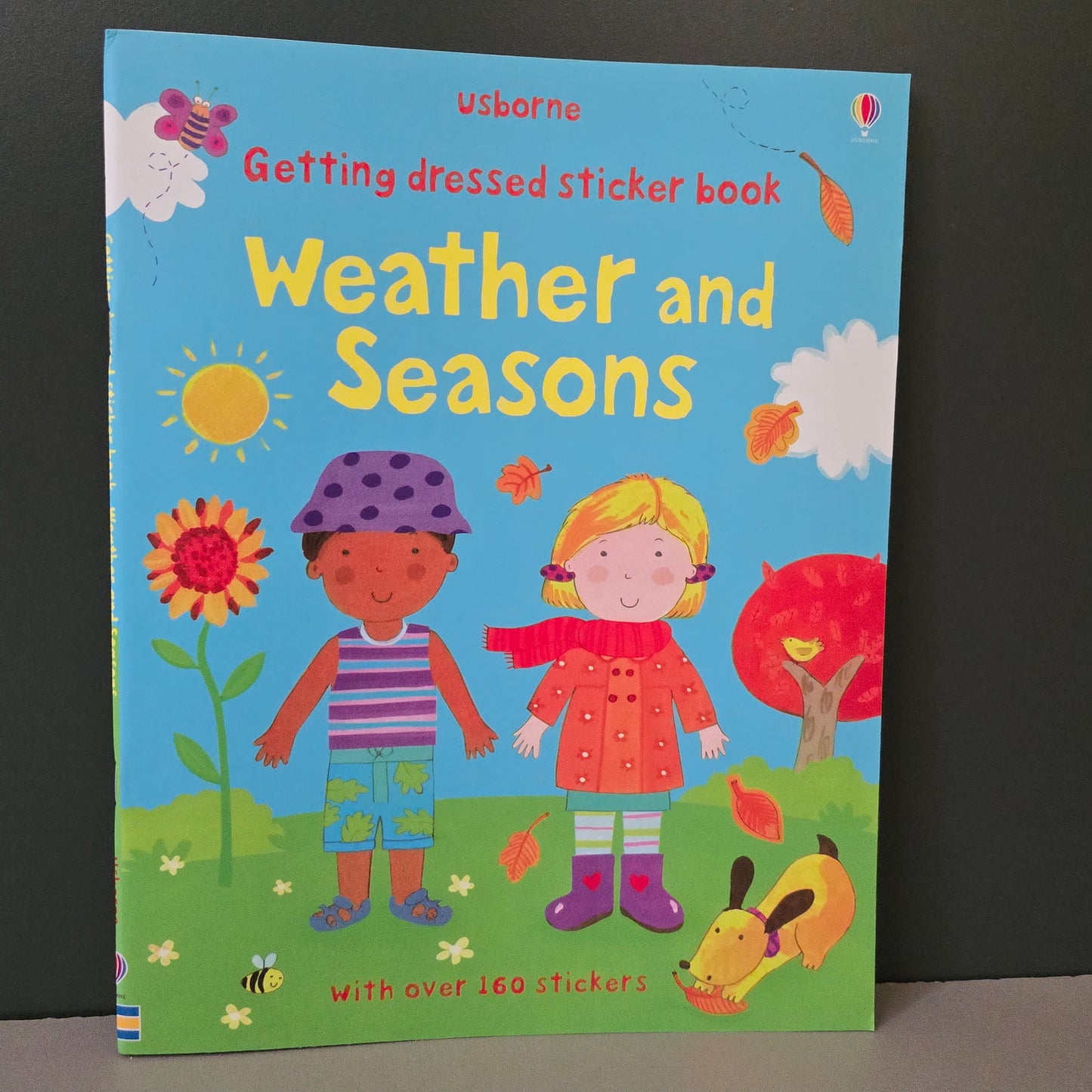 Usborne First Sticker Books 33 Variation