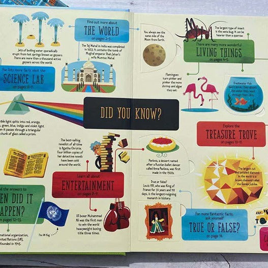 Lift-the-flap Questions and Answers Usborne Book