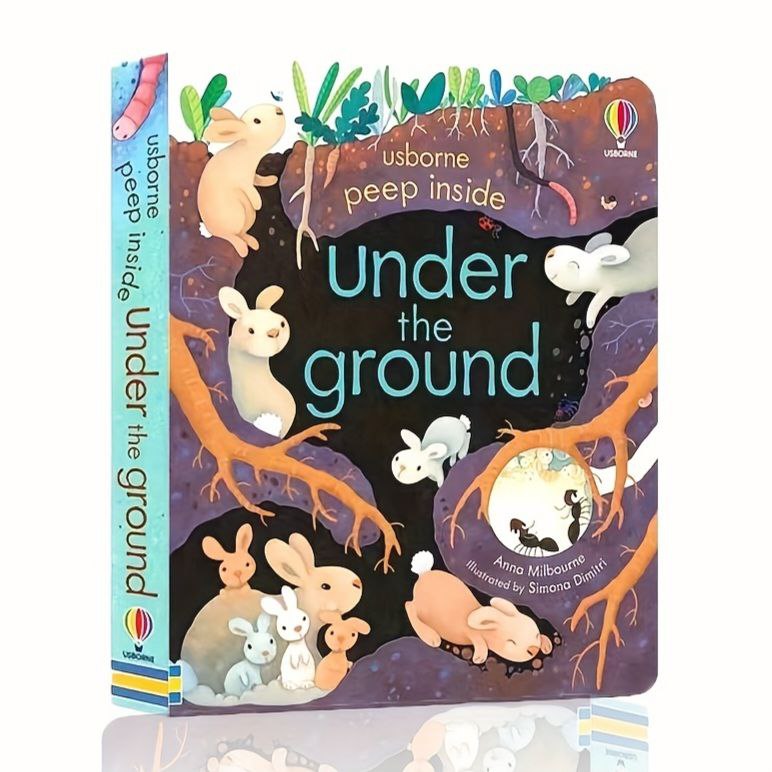 Usborne Peep Inside Books For Kids Hard Book
