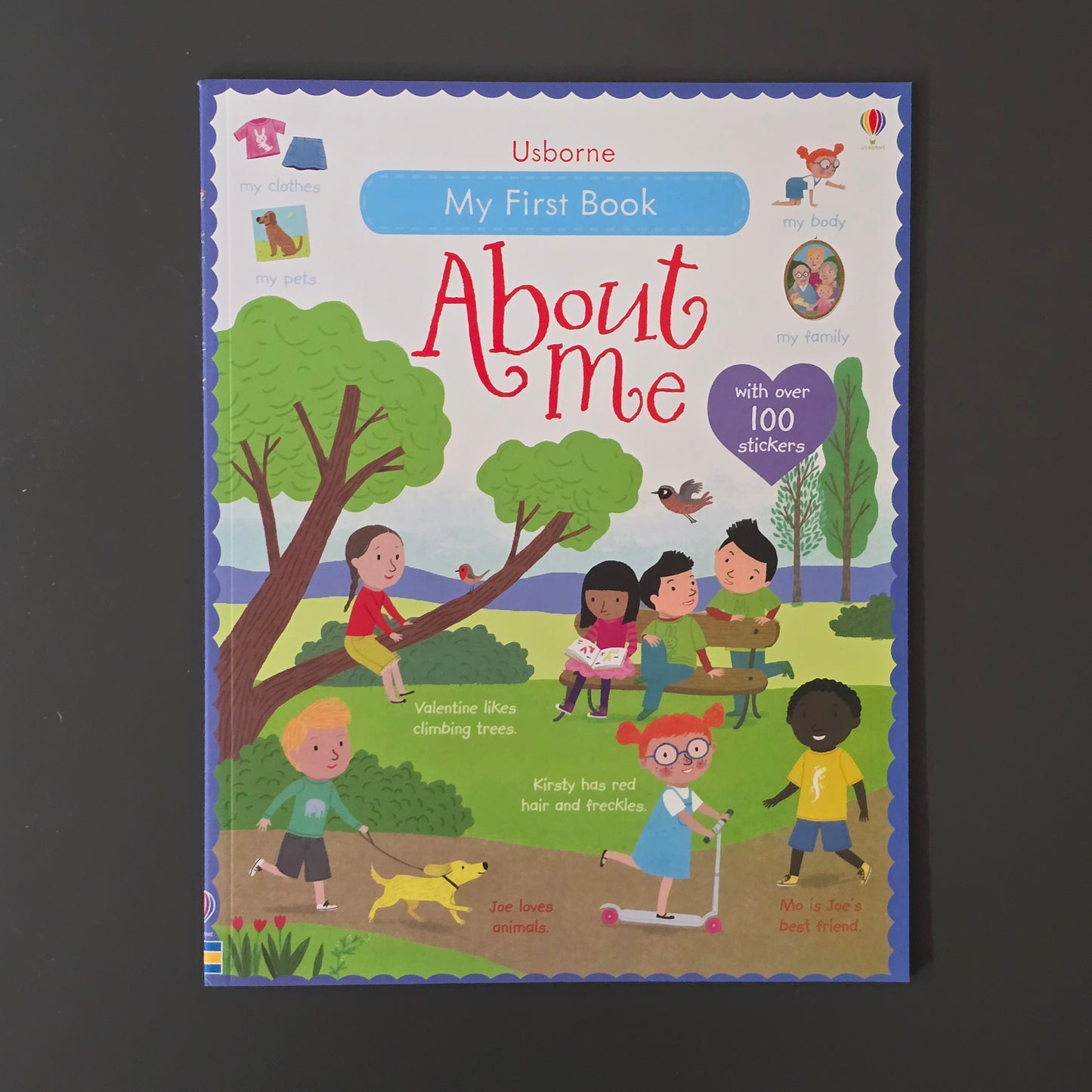 Usborne First Sticker Books 33 Variation