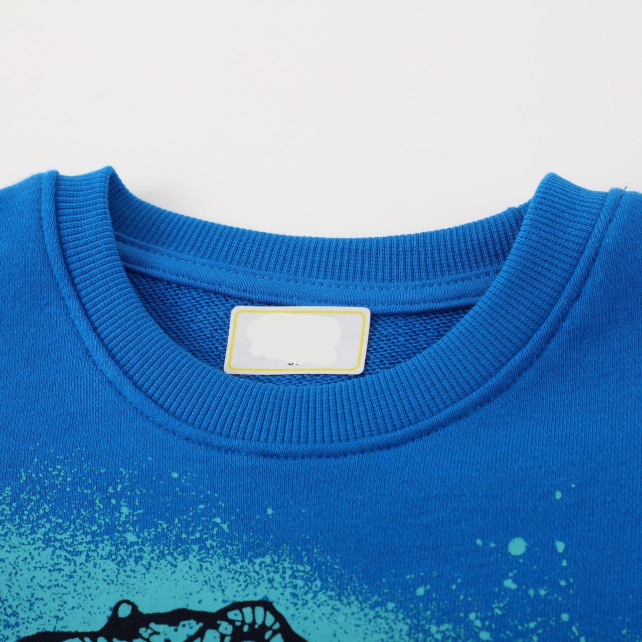 Cotton 100% Sweater Blue Dinosaur Design