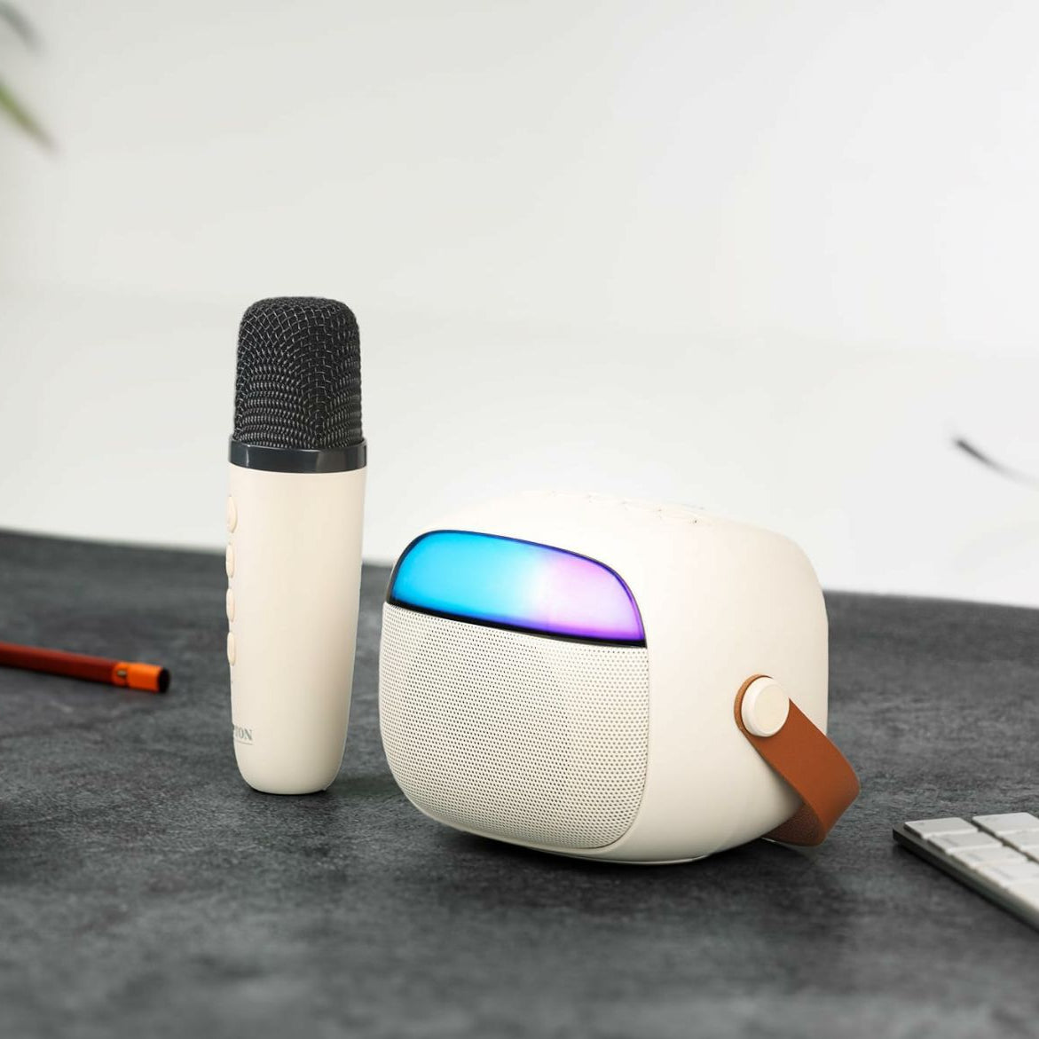 Bt Speaker With One Microphone