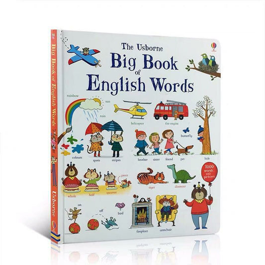 The Usborne Big Book English Words
