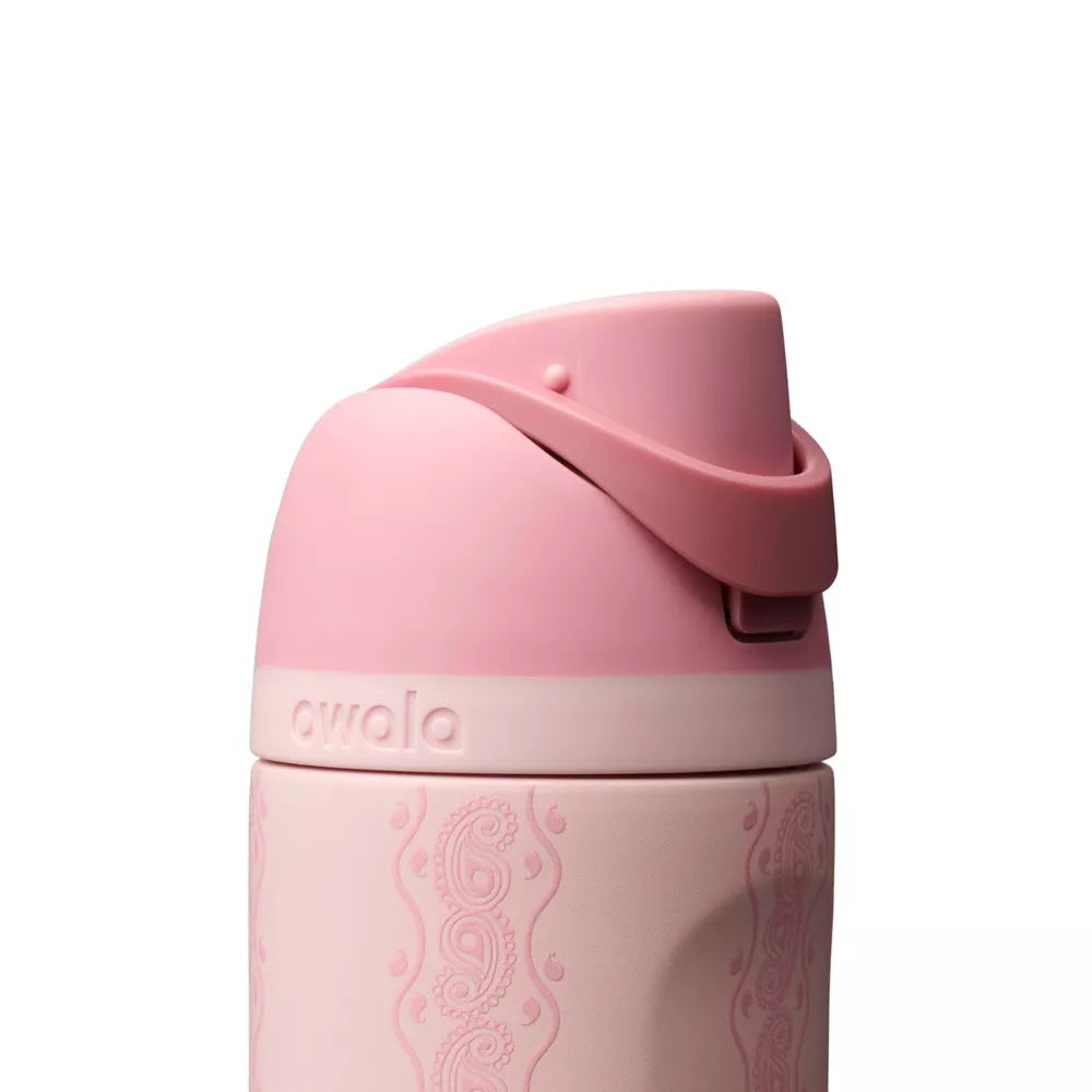 Owala Stainless Steel FreeSip Leak-proof | Painted Canyon | 950ml