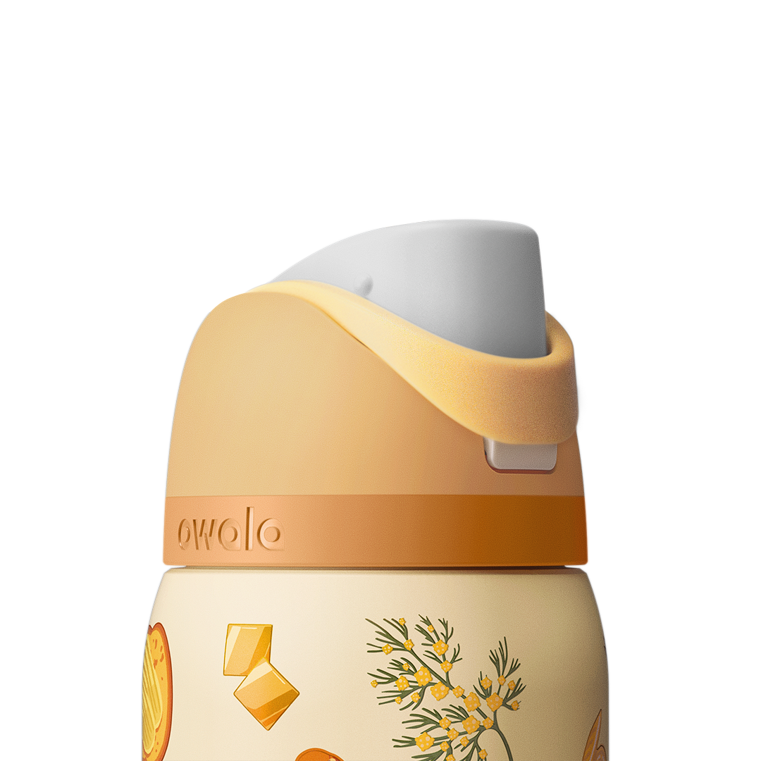 Owala Stainless Steel FreeSip Leak-proof Brunch Bunch | 950ml