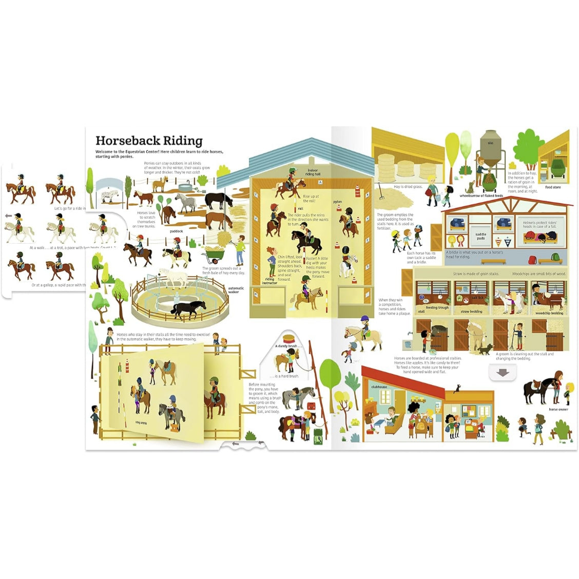 Big Ultimate Book Of Horses | Hardcover | 5+