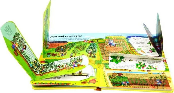 Usborne Look Inside Books - Hard Cover | 5+