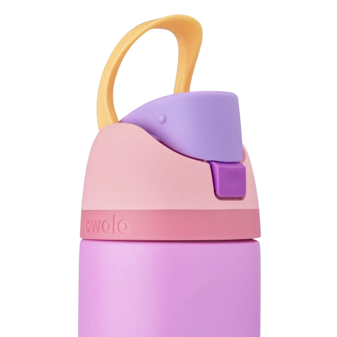 Owala Stainless Steel FreeSip Leak-proof Disney Princess Collection | 710ml