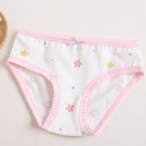 Girls Cotton Panties (4 pcs)-Pink Flower | Size 2–12Y