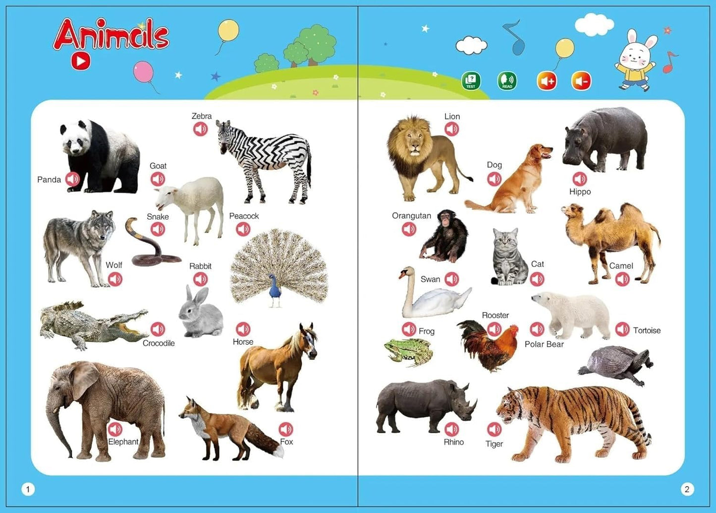 English Interactive Sound Book | Hard Cover | 2+