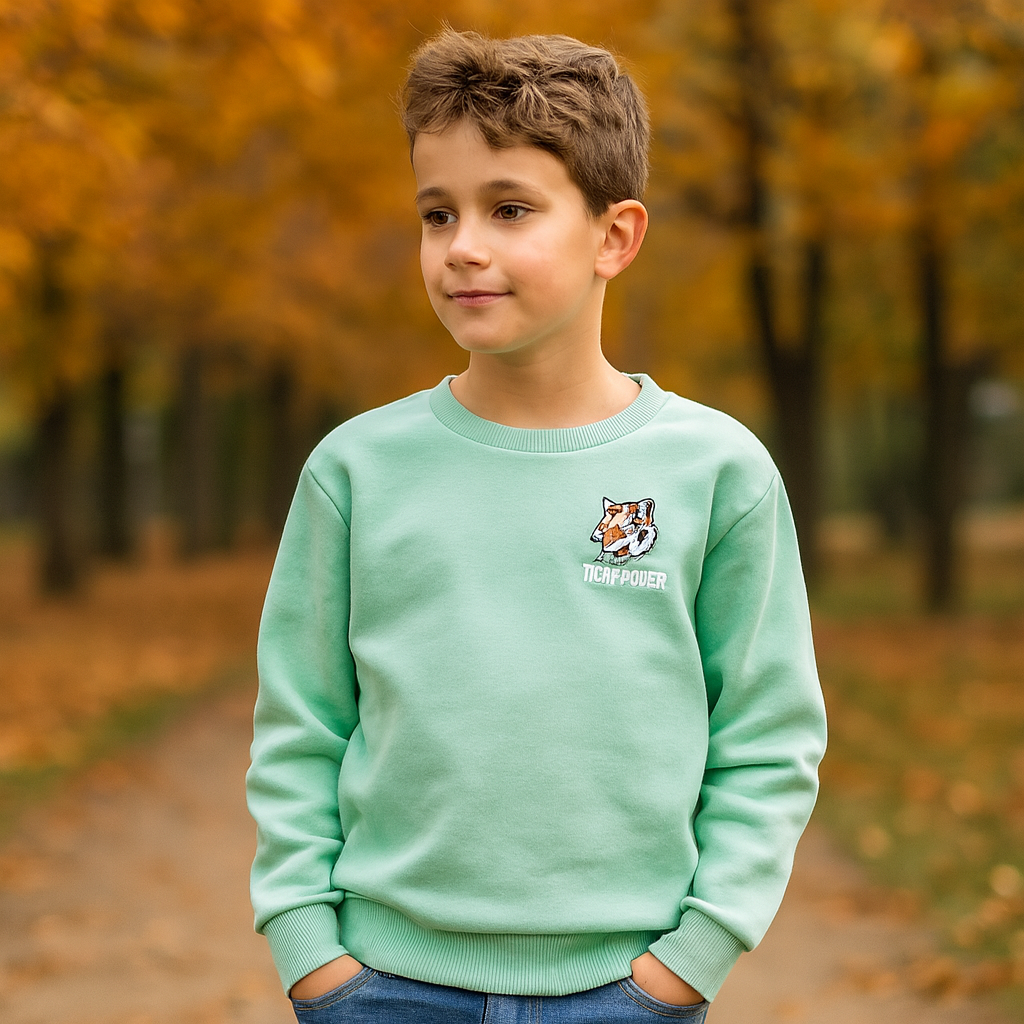 Sweater With Fleece Mint Color Tiger Power Design Size 7-8y