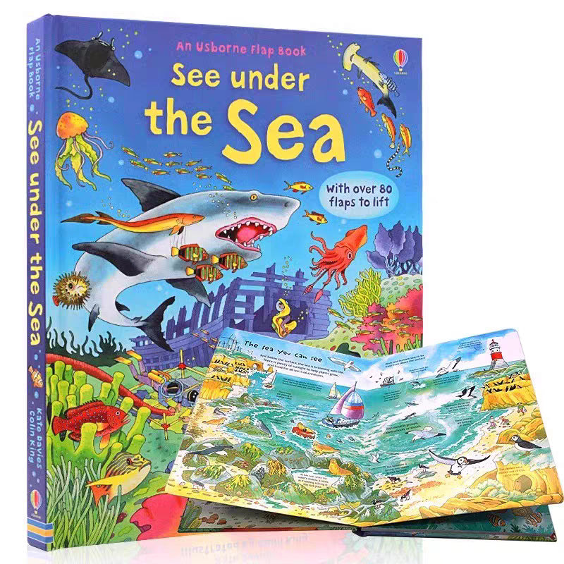 Usborne Lift-the-Flap Book | Hard Cover | 6+