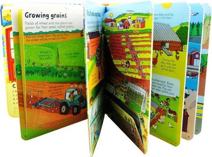 Usborne Look Inside Books - Hard Cover | 5+