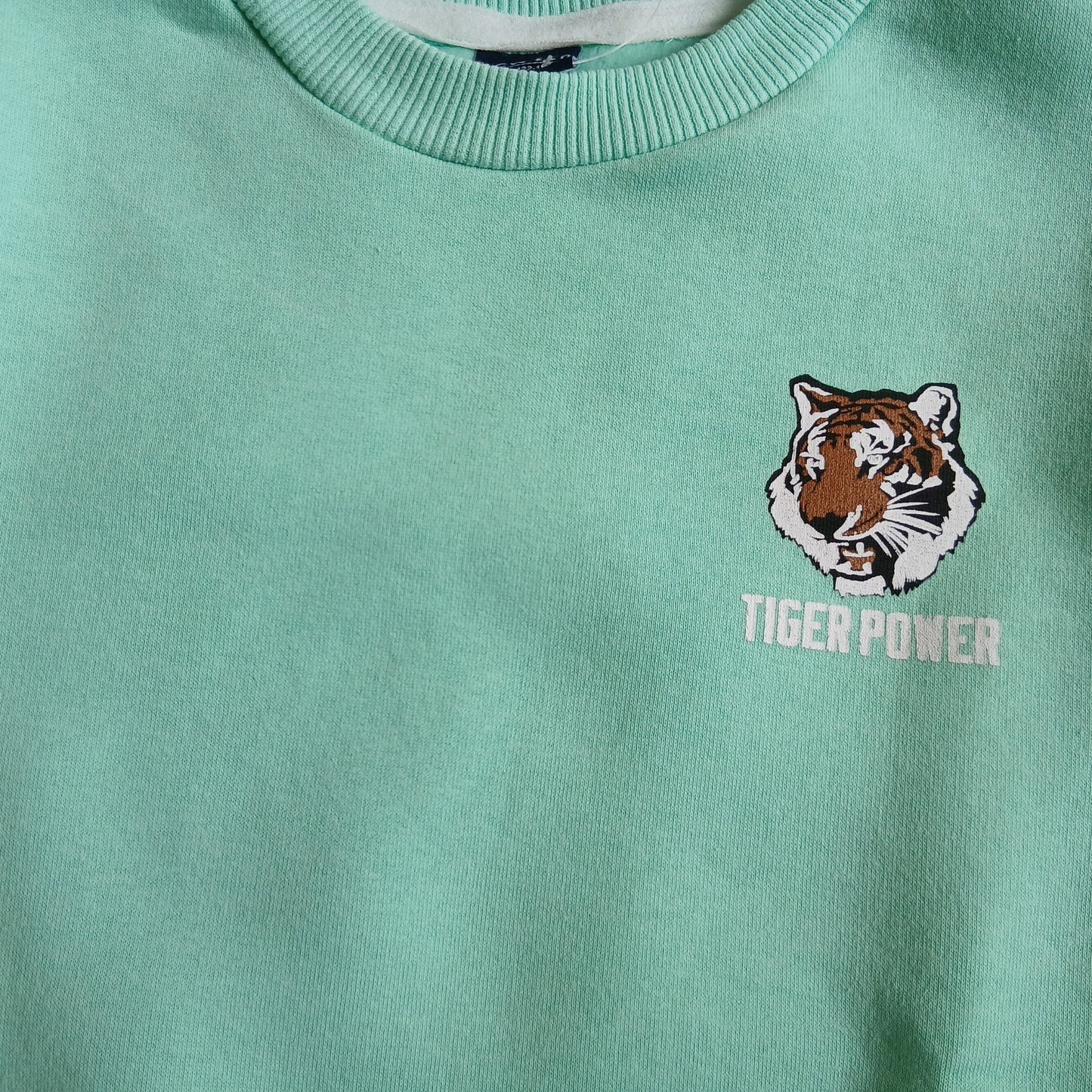 Sweater With Fleece Mint Color Tiger Power Design Size 7-8y