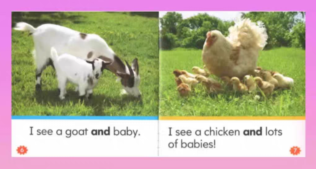 Nonfiction Sight Word Readers | 25 Books | Level A-D