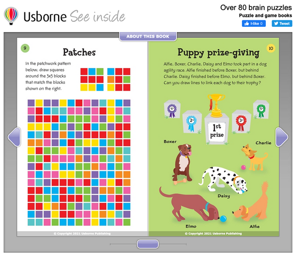 Usborne Activities Over 50 Brain Puzzles Book
