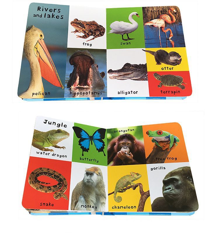 First 100 Book For Kids